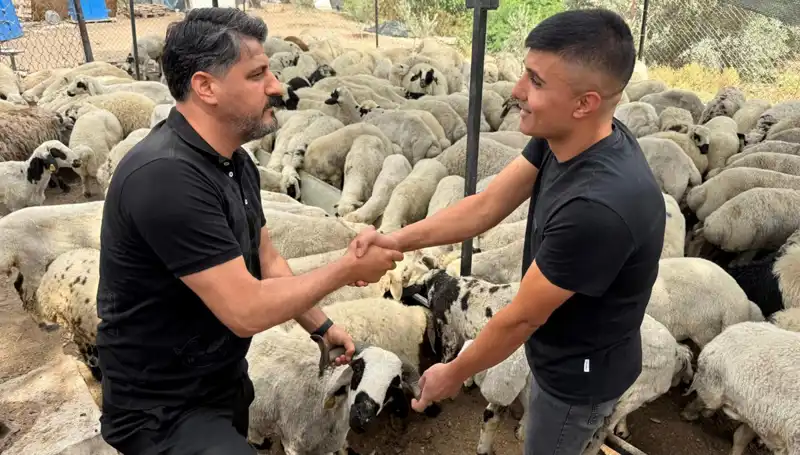 Kurbanlık Alırken Dikkat! Tuz ve Sumak Koyunları Şişkin Gösterebilir