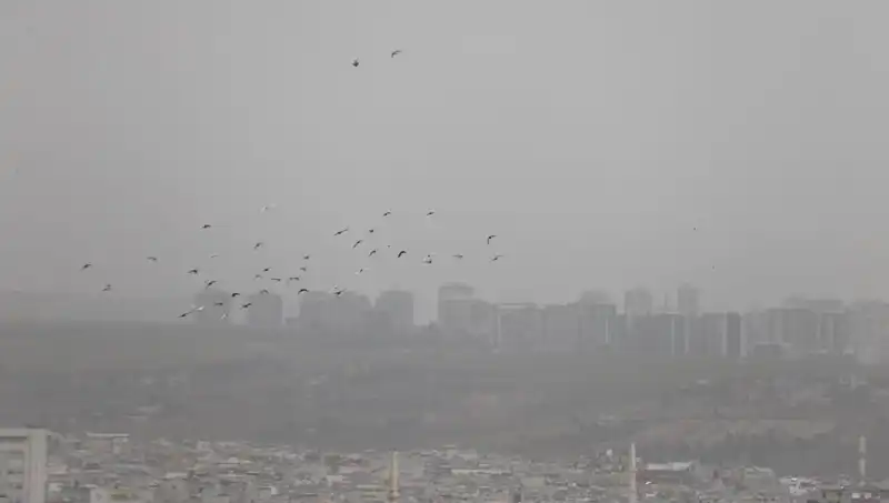 Şanlıurfa'da Görülmemiş Toz Fırtınası: Şehir Adeta Kayboldu