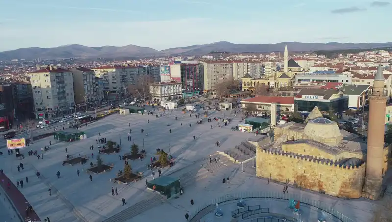 Kırşehir’de Keşfedilen Yeni Böcek Türü: Bilim Dünyasında Şok Etkisi Yaratıyor!