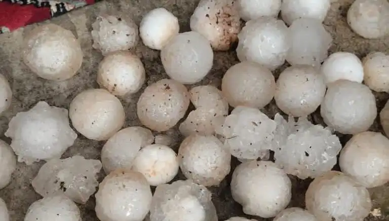 Şanlıurfa'da Kar Topu Büyüklüğünde Dolu Yağışı Herkesi Şaşırttı