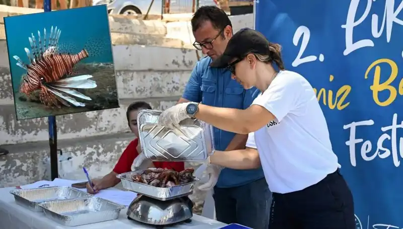 Antalya'da Aslan Balığı Avlama Yarışması: Eğlence ve Doğa Koruma Bir Arada