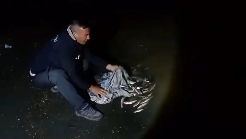 Binlerce İncinin Kendini Göstermesi: 1 Ton İçi Kefali Yakalandı!