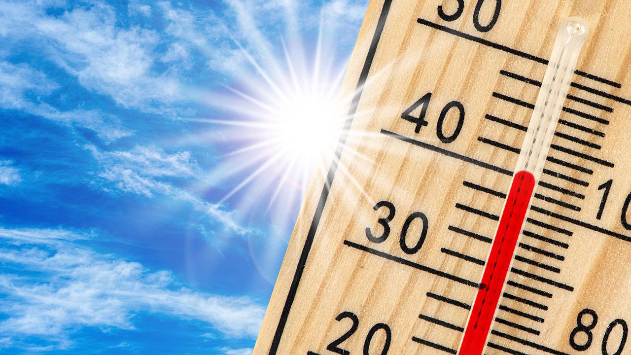 Dünya 2024'te En Sıcak Yılı Geride Bıraktı