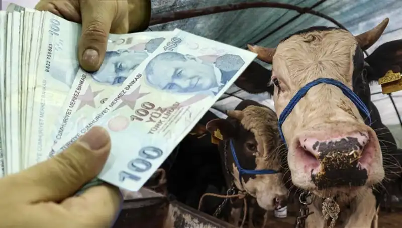 Kurban Bayramı Öncesi Maaşlar Yatacak mı? Emekli ve Memurlar İçin Müjde!