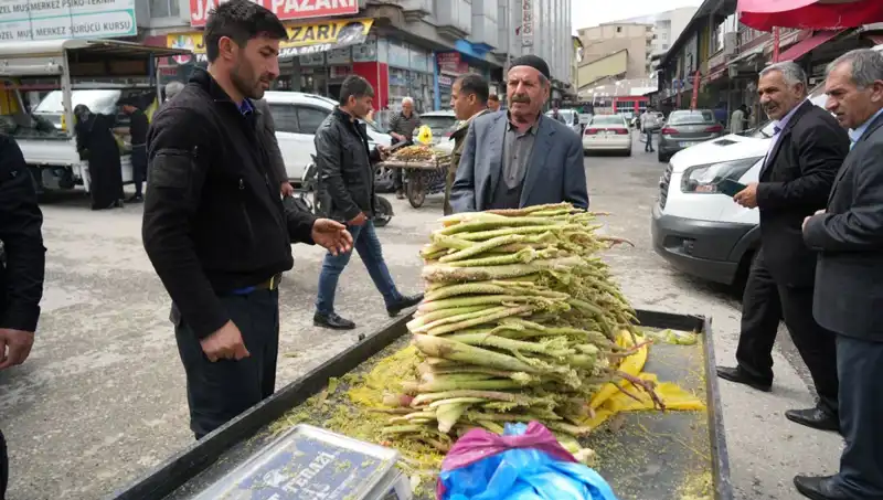 Dağlık Alanların Şifalı Sırrı: Şekerin Kanser ve Mide Hastalıklarına Faydaları