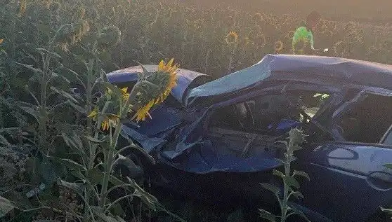Devriye Araç Otomobili Ayçiçeği Tarlasında Devrildi: Yaralılar Hastaneye Kaldırıldı