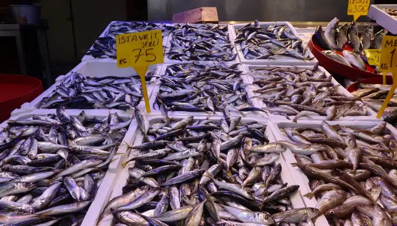 Balık Sezonu Kapanıyor: Tatlı Suyun Derinliklerinden Denizin Kıyılarına