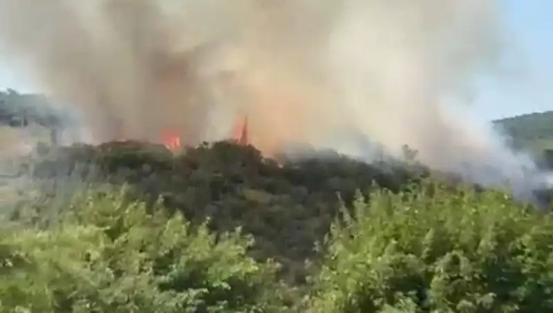 İstanbul'da Orman Yangını: Vatandaşlar Acil Tahliye Edildi