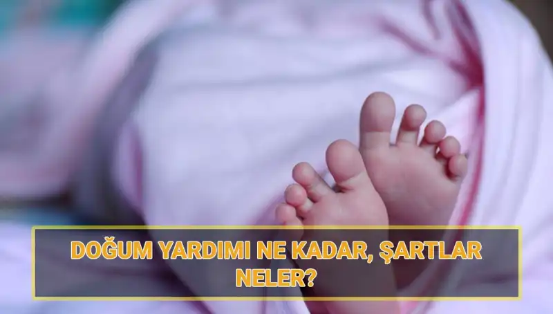 2025 Çocuk Parası ve Doğum Yardımı Başvuru Süreci Hakkında Her Şey