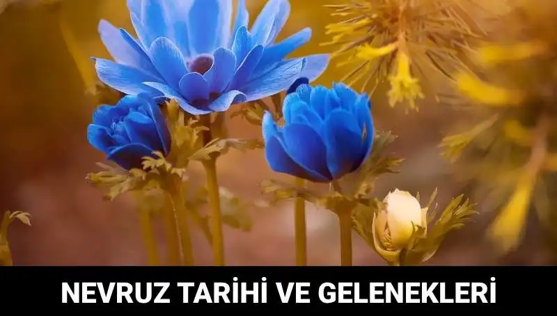 Nevruz Bayramı: Gelenekler ve Kutlama Tarihleriyle Baharın Gelişi