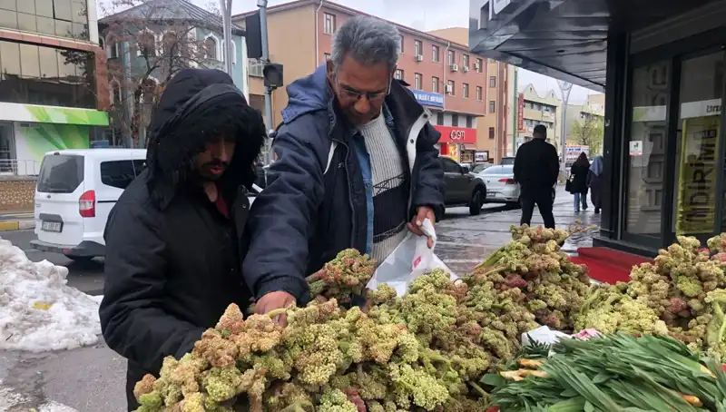 Kanserle Savaşta Yenilikçi Bir Umut: Kendiliğinden Yetişen Vitamin Deposuna Dikkat!