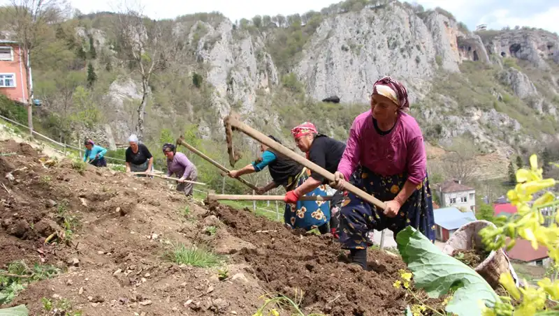 Zorlu Mesai Başladı: Emeğin Gerçek Yüzü Sepetler ve Kazmalarla Ortaya Çıkıyor