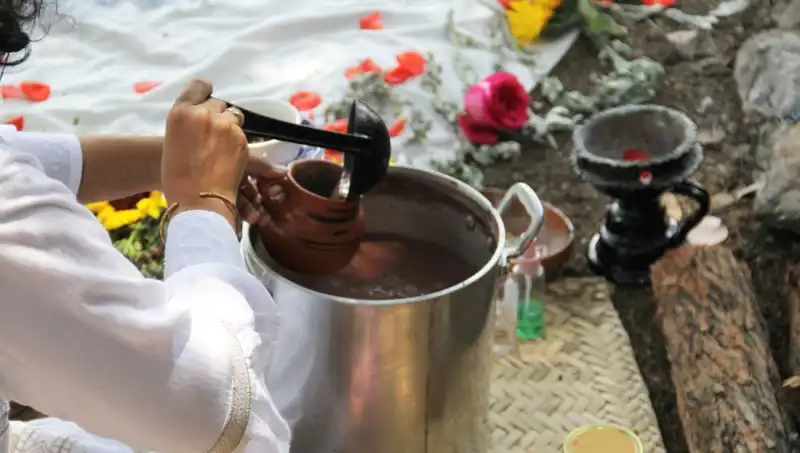 Ayahuasca: Spiritüel Yolculuk ve Yasal Durumuna Dair Bilgiler