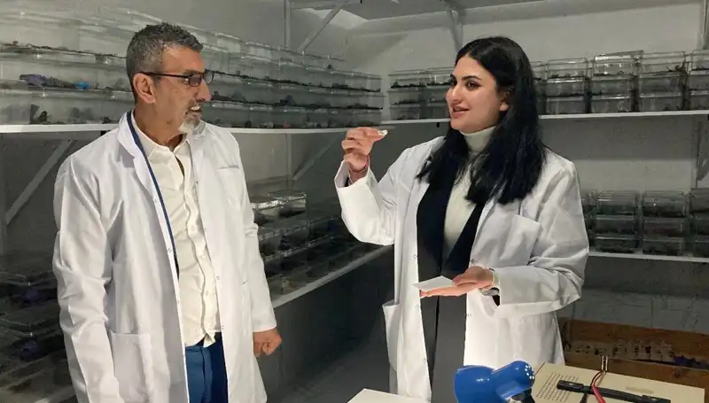 Akrep Zehiriyle Şekerin Buluşması: Cesur Yiyiciler İçin Yeni Trend