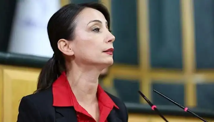 Öcalan'dan Tarihi Silah Bırakma Çağrısı: DEM Parti Siyasi Turuna Çıkıyor