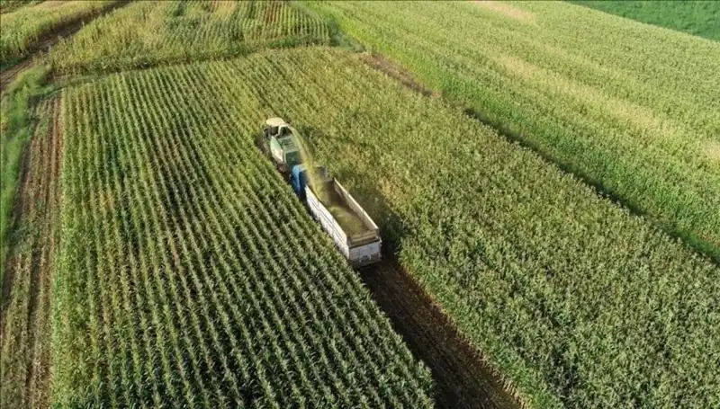 2025 Mart Ayı Mazot ve Gübre Desteği Ödemeleri İçin Son Gelişmeler