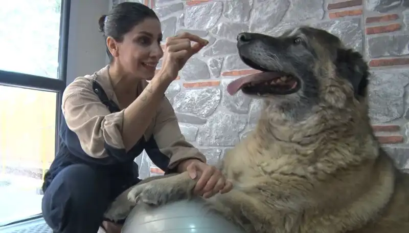 55 Kilo Fazla Obeziteyle Savaşıyor: Duman’ın Spor ve Pilates Serüveni