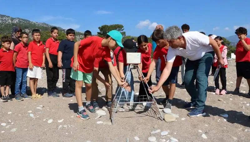 Kemer’de Caretta Caretta Koruma Yasakları: Doğanın Geleceği Tehlikede mi?
