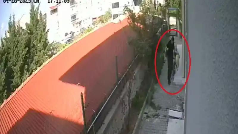 Veteriner Doktorun Şok Edici Suçları: Sahiplendiği Köpekleri Parçalayıp Öldürdü!
