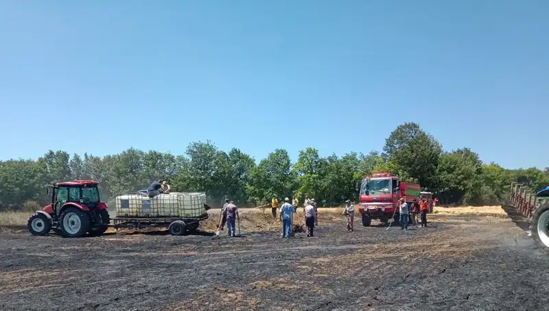 Buğday Tarlasındaki Yangın, 10 Dönümlük Alanı Küle Çevirdi