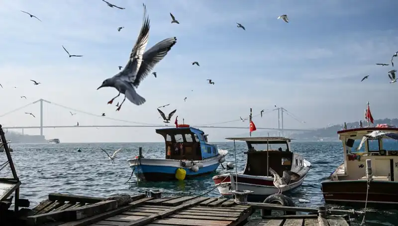 İstanbul’da Beklenen Bahar Havası İçin Geri Sayım Başladı