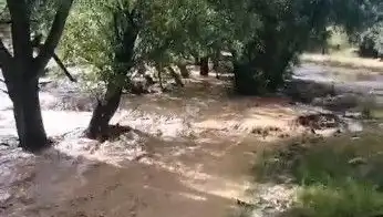 Mersin’de Ani Gelen Sağanak: Şehir Sele Teslim Oldu