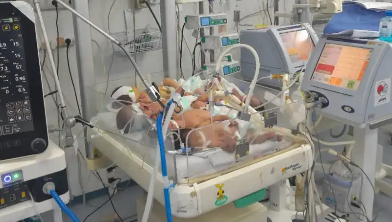 Gazzeli Doktorlar Çaresiz Kalıyor: Kuvözler Yetersiz, Hayatlar Tehlikede