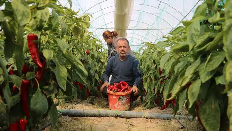 Fiyatı 50 TL'ydı, Şimdi 80 TL: Neden Bu Kadar Zamlandı?