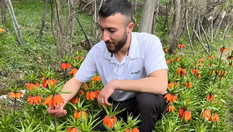 "Ağlayan Gelin: 20 Günlük Ömrüyle Büyüleyen Çiçeğin Fiyatı 244 Bin Lira!"