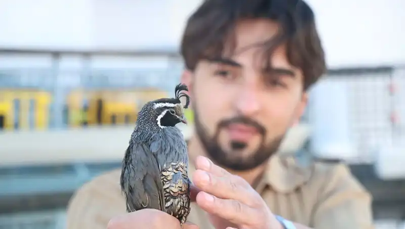 ABD'ye 17 Tür Sipariş Veren Genç, Çiftlikte Dünyaya İhracat Yapıyor