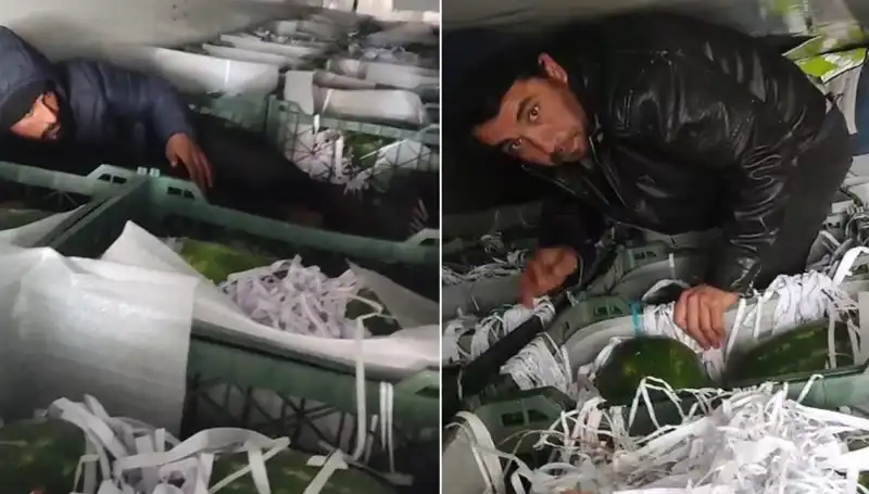 Karpuzların Arasından Sıra Dışı Bir Keşif: Göçmenler Sarp Dağlarında Gizleniyor
