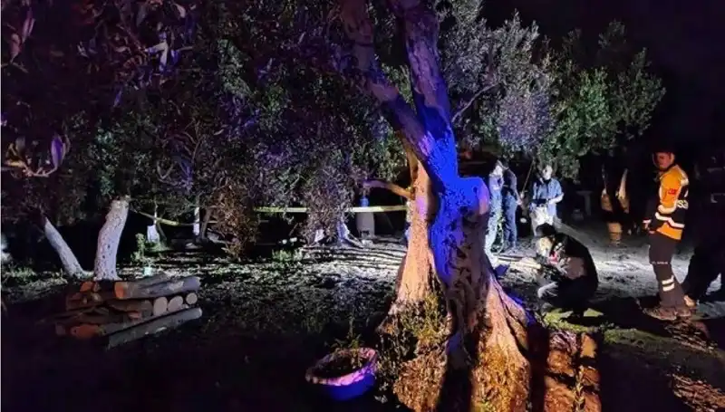 Çiftlikte Baltalı Vahşet: Şok Edici Tutuklama Detayları