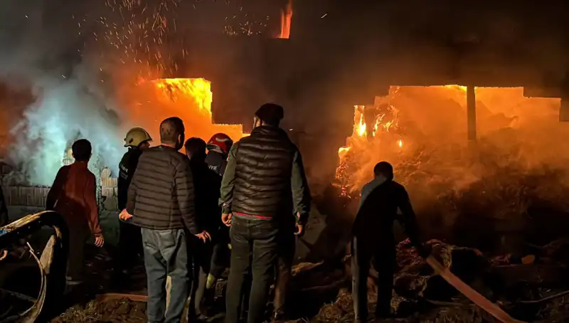 Bolu'da Korkutan Ahır Yangını: Hayvanlar ve Emlak Tehlikede