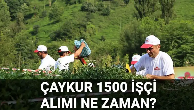 Çaykur İşçi Alımı Başvuru Tarihleri Açıklandı mı? Detaylar