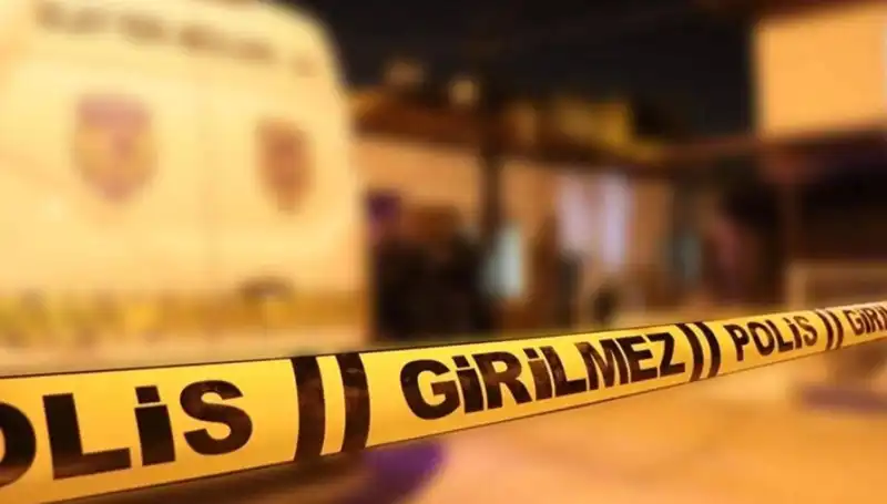 Diyarbakır'da Kayınpederin Şok Edici Saldırısı: Ailevi Gerilimler ve Sonuçları