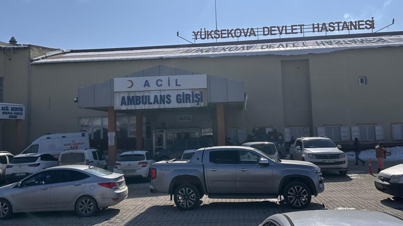 Hakkari'de köpek saldırısında çocuk öldü