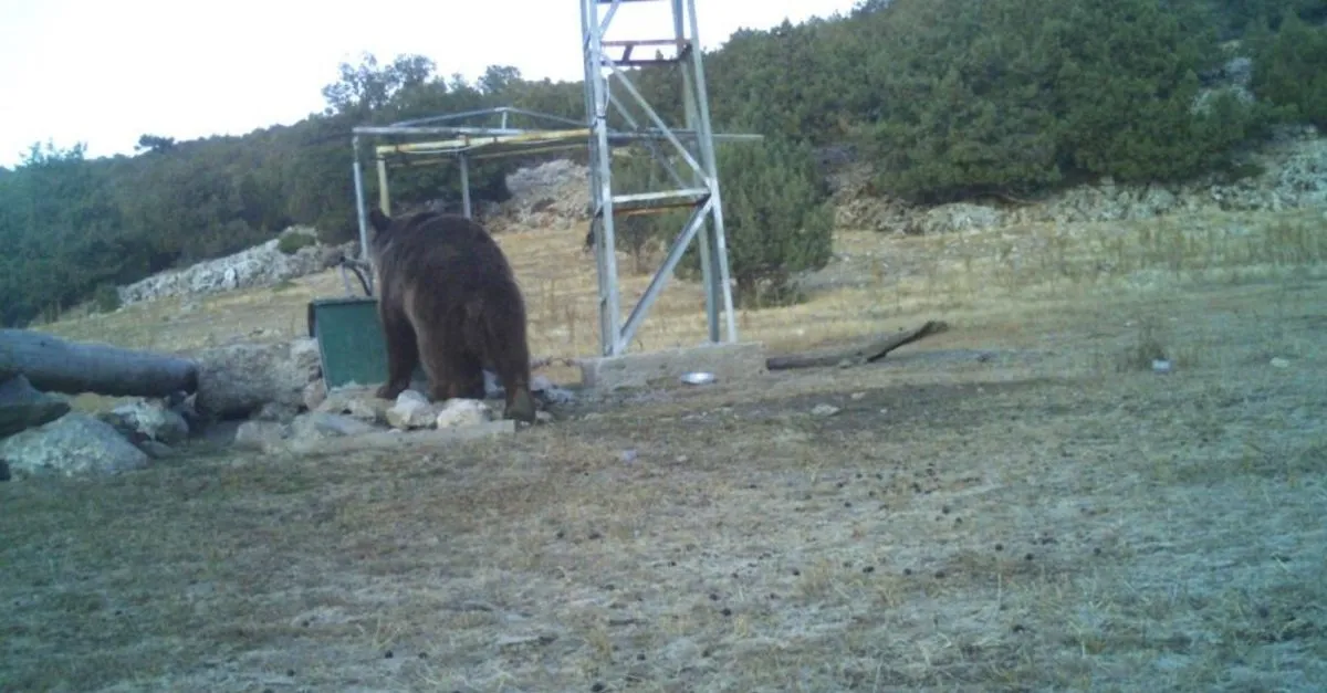 Manisa’da Gizemli Işık Hüzmesi Görüldü: Halk Heyecanla Gökyüzüne Kilitlendi