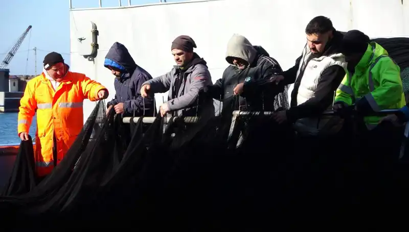 Denizlerde Hamsi Tükeniyor: Balıkçılar Erken Veda Ediyor