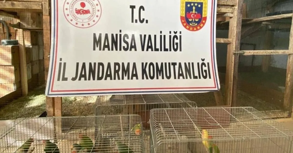 Yasak Papağan Satışı Yapan Kişiye 1,5 Milyon TL Ceza
