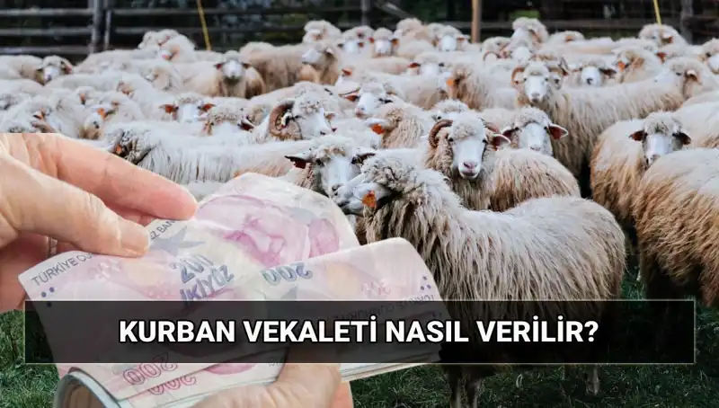 Vekaletle Kurban Kesilir mi? Diyanet'ten Detaylı Rehber