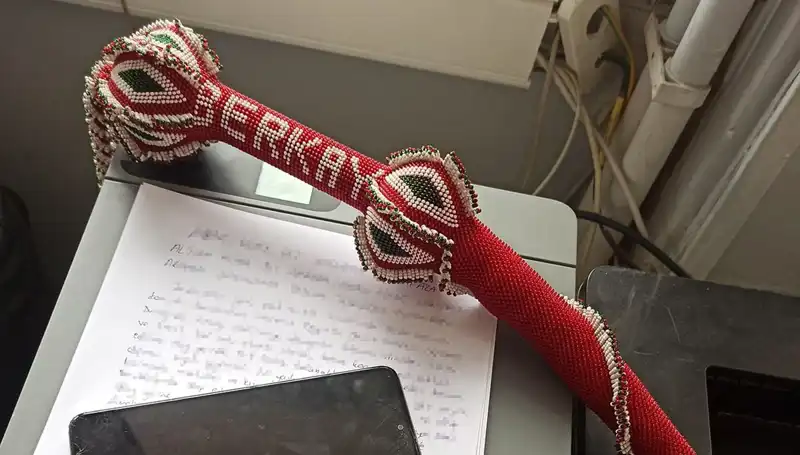 Kırbaçlı Saldırganlardan Kaçarken Hayatını Tehlikeye Atan Genç: Gerçek Hikaye